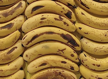 Supermarket bananas could soon be coated with a substance derived from seafood to keep them fresh for longer