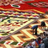 Traditional patterns from Ethiopia, Congo, Nigeria, Cameroon and Botswana are displayed in the 2012 Flower Carpet from Grand Place