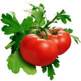 A diet rich in tomatoes may reduce the risk of having a stroke