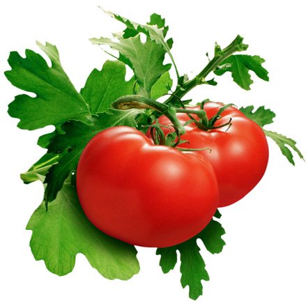 A diet rich in tomatoes may reduce the risk of having a stroke