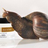 Primarily marketed as an acne solution, the shelled slug's mucus is also believed to reduce pigmentation and scarring, as well as beat wrinkles