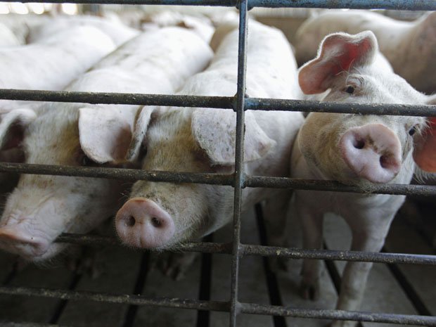 Terry Vance Garner went to feed his animals last Wednesday on his farm by the coast, but never returned