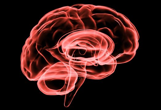 Tests in primates had suggested NA-1 prevented brain cells dying when a stroke starved them of oxygen