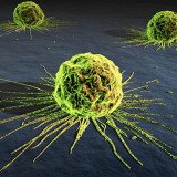 British researchers have explained the way cancers make a chaotic mess of their genetic code in order to thrive