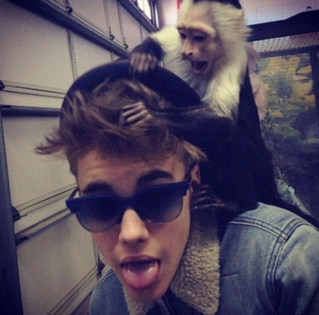 Justin Bieber’s monkey was seized by customs officials after the singer demanded Mally accompany him on a long-haul flight to Germany