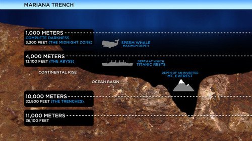 Mariana Trench was once thought to be too hostile an environment for life to exist
