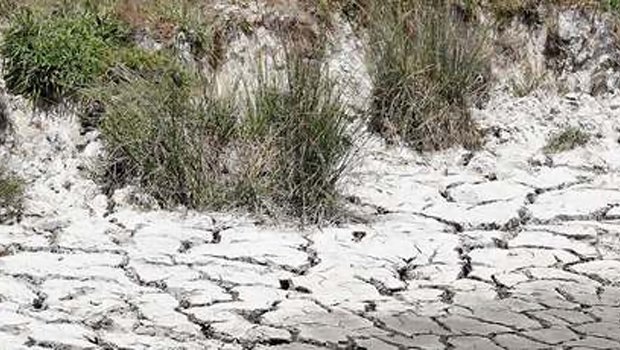 New Zealand has declared drought emergency on the entire North Island in what the government describes as the worst dry spell in 30 years