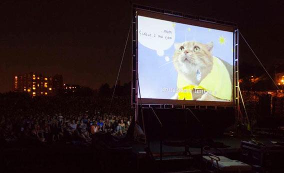 A second edition of the Internet Cat Video Festival, dedicated to celebrating internet videos of cats, is due to take place in Minnesota in August 2013