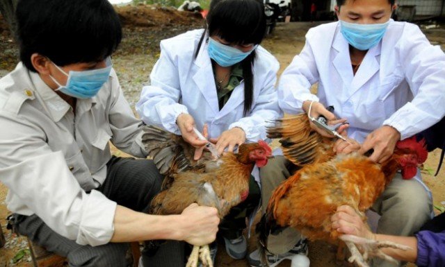 China is increasing efforts to contain the spread of a new strain of bird flu which has killed six people in the country