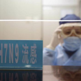 Chinese authorities have reported the first case of H7N9 bird flu in Beijing after a 7-year-old girl has been hospitalized in the capital