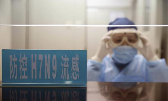 Chinese authorities have reported the first case of H7N9 bird flu in Beijing after a 7-year-old girl has been hospitalized in the capital