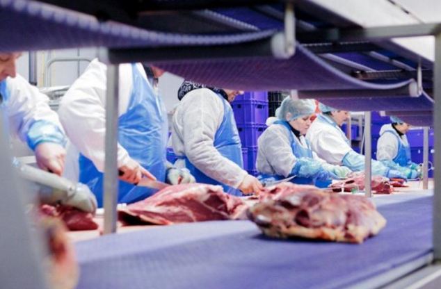 Dutch authorities have found that 50,000 tonnes of meat supplied by two local trading companies and sold as beef across Europe since January 2011 may have contained horsemeat