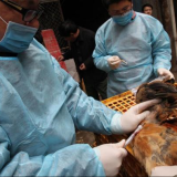 Shanghai poultry markets have been temporary closed by authorities due to the H7N9 bird flu outbreak
