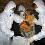Six people died in China since the outbreak of a new strain of bird flu