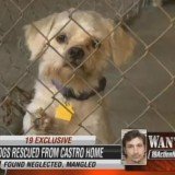 Ariel Castro's dogs could have served as pets for his three captives and were apparently in better condition than the women he imprisoned