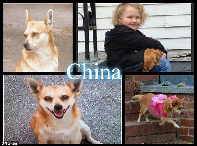 Honey Boo Boo and her late dog China