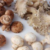 The mushroom plan is being touted as the latest weapon for savvy celeb dieters who want to shed pounds quickly but still keep some of their curves