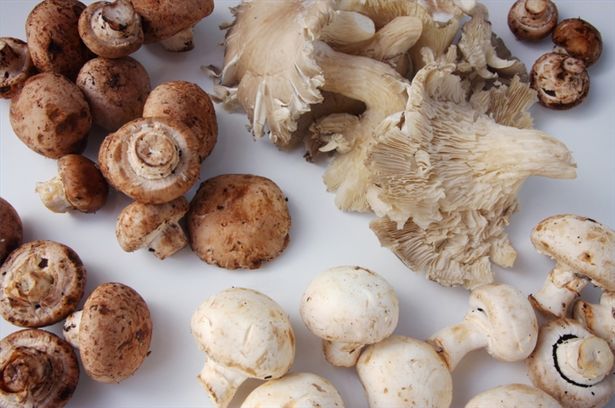 The mushroom plan is being touted as the latest weapon for savvy celeb dieters who want to shed pounds quickly but still keep some of their curves