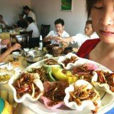 The report by the UN Food and Agriculture Organization says that eating insects could help boost nutrition and reduce pollution