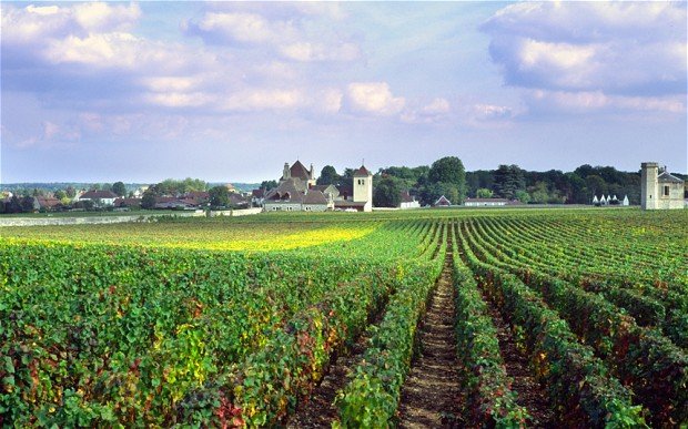 A new research has found evidence of the earliest winemaking in France, which indicates it has an Italian origin