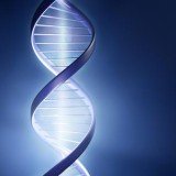 The US Supreme Court has ruled unanimously that human genes may not be patented