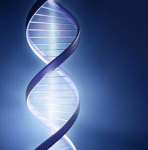 The US Supreme Court has ruled unanimously that human genes may not be patented