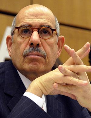 Egypt's new president, Adly Mahmud Mansour, says pro-reform leader Mohamed ElBaradei has not yet been appointed as interim prime minister despite earlier reports