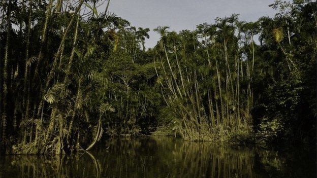 The Ecuadorian conservation plan that would have paid the country not to drill for oil in previously untouched parts of Yasuni National Park in the Amazon rainforest has been abandoned