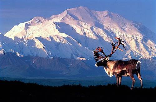 Mount McKinley, located in the US state of Alaska, measured 83ft shorter than previously understood