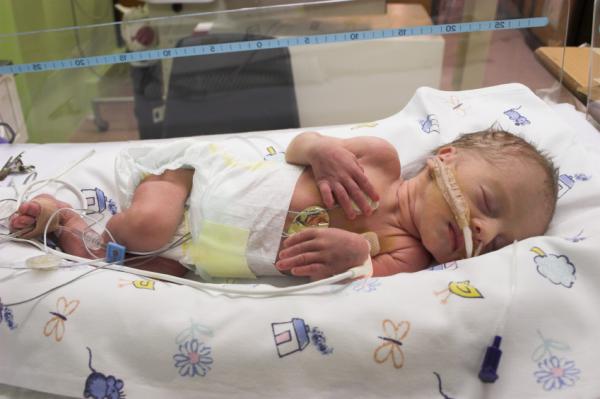 Rubbing a dose of sugar gel into the inside of the cheek of premature babies is a cheap and effective way to protect them against brain damage