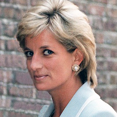 Soldier N claimed Princess Diana was killed after a member of British SAS unit shone a light in her driver's face causing him to crash