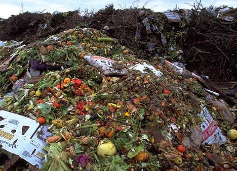 The food the world wastes produces more greenhouse gas emissions than any country except for China and the US