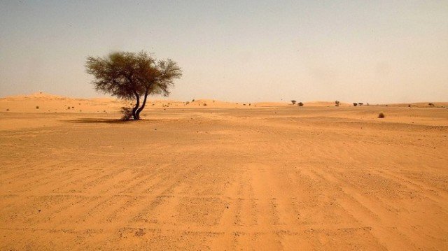 About 80,000 migrants cross the Sahara desert through Niger