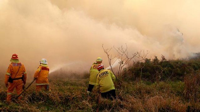 Australian fire fighters deliberately joined up two large fires near the Blue Mountains as part of efforts to control bushfires across New South Wales