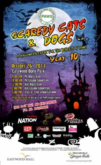 Scaredy Cats and Dogs 2013