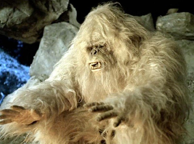 The legendary Himalayan yeti may in fact be a sub-species of brown bear