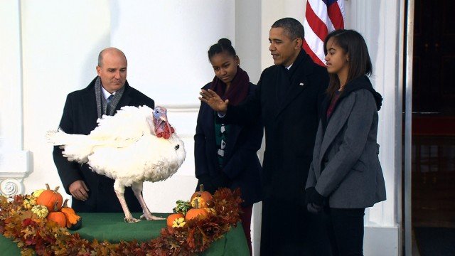 Barack Obama has symbolically pardoned two turkeys on the eve of the Thanksgiving holiday