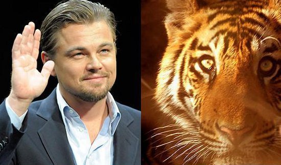 Leonardo DiCaprio has donated $3 million to help save tigers in Nepal