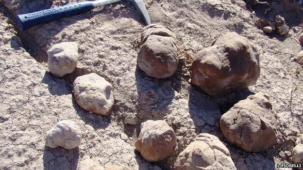 World’s oldest public toilet, created at the dawn of the dinosaurs, has been unearthed in Argentina