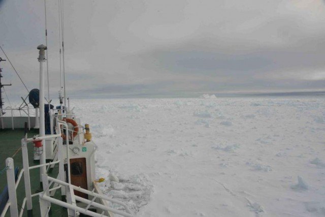 Akademik Shokalskiy ship has 74 on board and is being used by the Australasian Antarctic Expedition