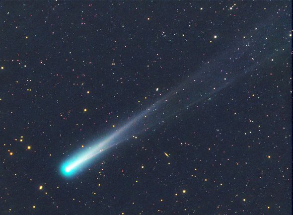 Comet ISON was burned to death on its maiden voyage around the Sun