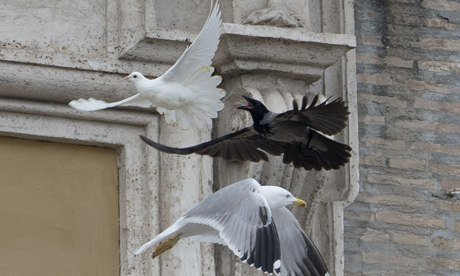 Two white doves released by Pope Francis and two children in Vatican City as a peace gesture have been attacked by a seagull and a crow