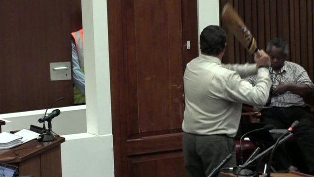 The forensics expert has swung a cricket bat at a toilet door erected in the courtroom at Oscar Pistorius' murder trial