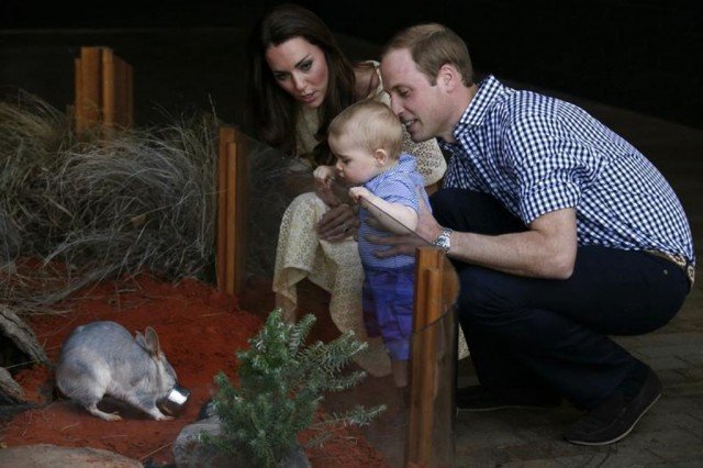 Prince George has met Bilby George at Taronga Zoo in Sydney during his first official engagement in Australia