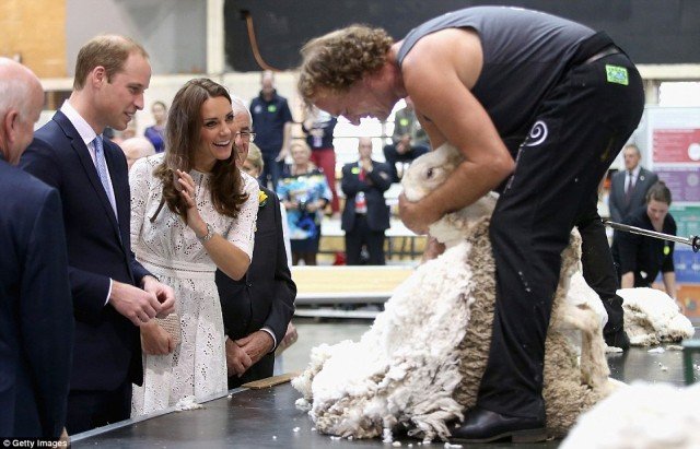 Prince William and Kate Middleton watched a shearing demonstration, and the Duchess of Cambridge seized the opportunity to poke fun at her husband's bald spot