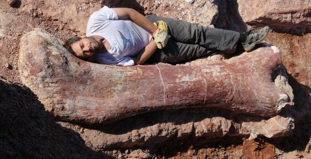 Paleontologists in Argentina have discovered fossilized bones of a dinosaur believed to be the largest creature ever to walk the Earth