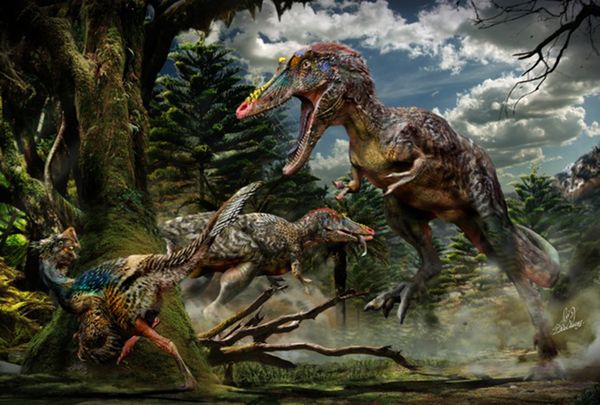 Pinocchio rex is 66-million-year-old predator, officially named Qianzhousaurus sinensis