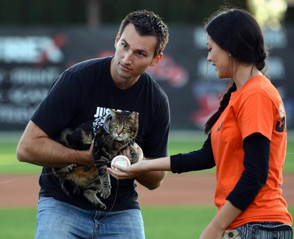 Tara the Hero Cat threw out the ceremonial first pitch at Bakersfield Blaze baseball game