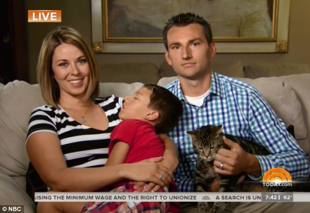 Tara the cat was caught on video saving 4-year-old Jeremy Triantafilo from a dog attack