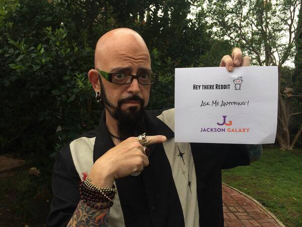 Jackson Galaxy is a cat behaviorist with more than fifteen years of experience and the host of Animal Planet's hit show My Cat From Hell